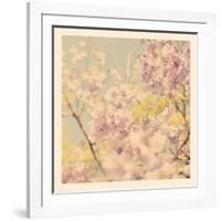 Flowers in Bloom-Myan Soffia-Framed Photographic Print