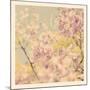 Flowers in Bloom-Myan Soffia-Mounted Photographic Print