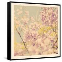 Flowers in Bloom-Myan Soffia-Framed Stretched Canvas