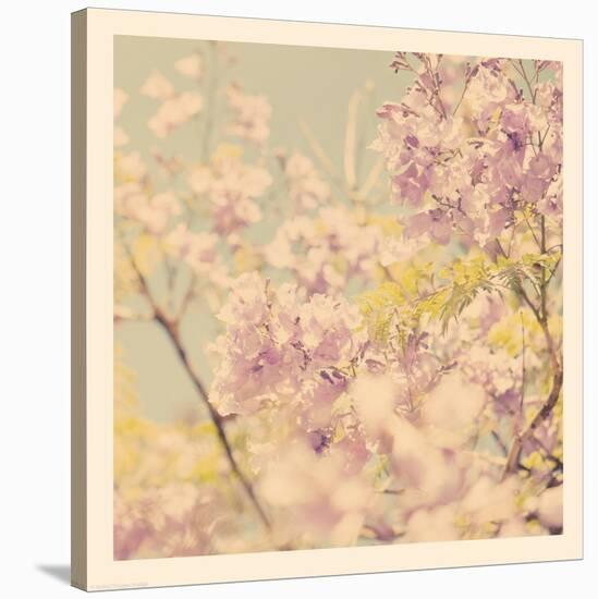 Flowers in Bloom-Myan Soffia-Stretched Canvas