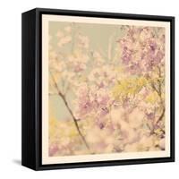 Flowers in Bloom-Myan Soffia-Framed Stretched Canvas