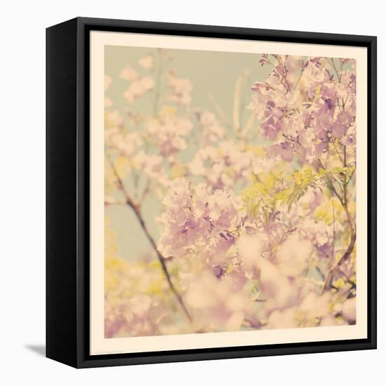 Flowers in Bloom-Myan Soffia-Framed Stretched Canvas