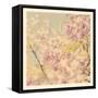 Flowers in Bloom-Myan Soffia-Framed Stretched Canvas