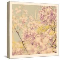 Flowers in Bloom-Myan Soffia-Stretched Canvas