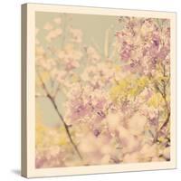 Flowers in Bloom-Myan Soffia-Stretched Canvas