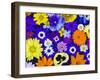 Flowers in Blues and Yellows-Darrell Gulin-Framed Photographic Print