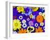 Flowers in Blues and Yellows-Darrell Gulin-Framed Photographic Print