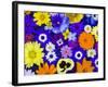 Flowers in Blues and Yellows-Darrell Gulin-Framed Photographic Print