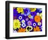 Flowers in Blues and Yellows-Darrell Gulin-Framed Photographic Print