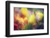 Flowers in Color Filters-Timofeeva Maria-Framed Premium Photographic Print