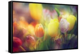 Flowers in Color Filters-Timofeeva Maria-Framed Stretched Canvas