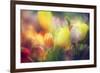 Flowers in Color Filters-Timofeeva Maria-Framed Photographic Print