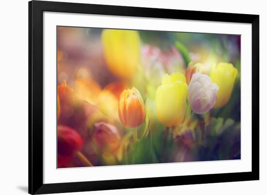 Flowers in Color Filters-Timofeeva Maria-Framed Photographic Print