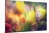 Flowers in Color Filters-Timofeeva Maria-Mounted Photographic Print