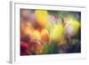 Flowers in Color Filters-Timofeeva Maria-Framed Photographic Print