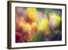 Flowers in Color Filters-Timofeeva Maria-Framed Photographic Print