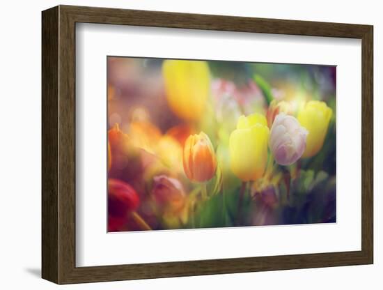 Flowers in Color Filters-Timofeeva Maria-Framed Photographic Print