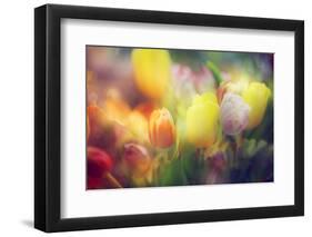 Flowers in Color Filters-Timofeeva Maria-Framed Photographic Print