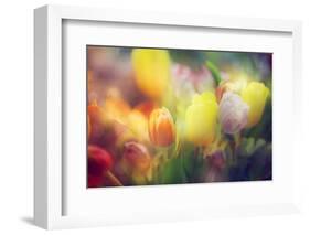 Flowers in Color Filters-Timofeeva Maria-Framed Photographic Print