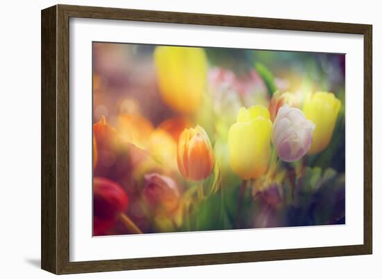 Flowers in Color Filters-Timofeeva Maria-Framed Photographic Print