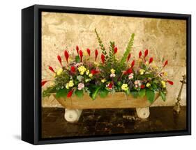 Flowers in Former Colonial Convent, Casa Santo Domingo Hotel, Antigua, Guatemala-Cindy Miller Hopkins-Framed Stretched Canvas