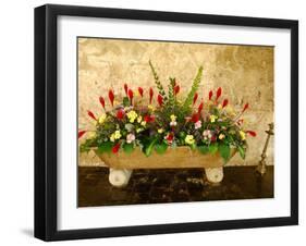 Flowers in Former Colonial Convent, Casa Santo Domingo Hotel, Antigua, Guatemala-Cindy Miller Hopkins-Framed Premium Photographic Print