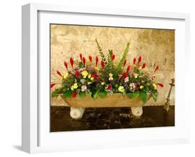 Flowers in Former Colonial Convent, Casa Santo Domingo Hotel, Antigua, Guatemala-Cindy Miller Hopkins-Framed Premium Photographic Print