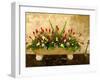 Flowers in Former Colonial Convent, Casa Santo Domingo Hotel, Antigua, Guatemala-Cindy Miller Hopkins-Framed Photographic Print