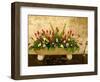 Flowers in Former Colonial Convent, Casa Santo Domingo Hotel, Antigua, Guatemala-Cindy Miller Hopkins-Framed Photographic Print