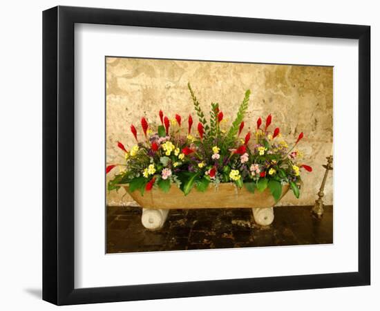 Flowers in Former Colonial Convent, Casa Santo Domingo Hotel, Antigua, Guatemala-Cindy Miller Hopkins-Framed Photographic Print