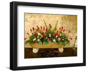 Flowers in Former Colonial Convent, Casa Santo Domingo Hotel, Antigua, Guatemala-Cindy Miller Hopkins-Framed Photographic Print
