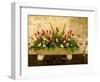 Flowers in Former Colonial Convent, Casa Santo Domingo Hotel, Antigua, Guatemala-Cindy Miller Hopkins-Framed Photographic Print