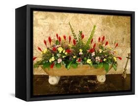 Flowers in Former Colonial Convent, Casa Santo Domingo Hotel, Antigua, Guatemala-Cindy Miller Hopkins-Framed Stretched Canvas