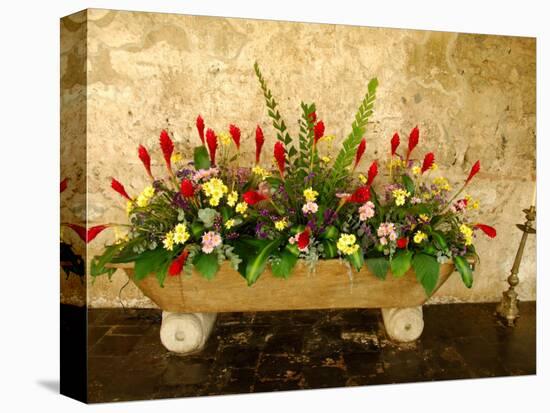Flowers in Former Colonial Convent, Casa Santo Domingo Hotel, Antigua, Guatemala-Cindy Miller Hopkins-Stretched Canvas