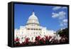 Flowers in Front of the U.S. Capitol, Where the Senate and House of Representatives Meet-1photo-Framed Stretched Canvas