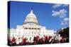 Flowers in Front of the U.S. Capitol, Where the Senate and House of Representatives Meet-1photo-Stretched Canvas