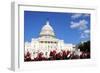 Flowers in Front of the U.S. Capitol, Where the Senate and House of Representatives Meet-1photo-Framed Photographic Print