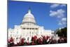 Flowers in Front of the U.S. Capitol, Where the Senate and House of Representatives Meet-1photo-Mounted Photographic Print