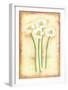 Flowers In Movement I-Ferrer-Framed Art Print