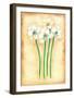 Flowers In Movement II-Ferrer-Framed Art Print