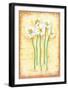 Flowers In Movement III-Ferrer-Framed Art Print