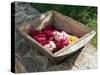 Flowers in Old Wooden Tray, Goreme, Cappadocia, Turkey-R H Productions-Stretched Canvas