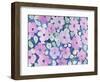 flowers in pink-Neela Pushparaj-Framed Giclee Print