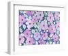 flowers in pink-Neela Pushparaj-Framed Giclee Print