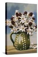 Flowers in Pottery Jug-null-Stretched Canvas