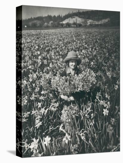 Flowers in Puyallup, 1925-Marvin Boland-Stretched Canvas