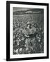 Flowers in Puyallup, 1925-Marvin Boland-Framed Giclee Print