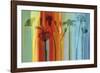 Flowers in Silhouette-Tania Bello-Framed Giclee Print