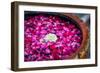 Flowers in Spa-Marina Pissarova-Framed Photographic Print