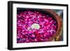 Flowers in Spa-Marina Pissarova-Framed Photographic Print